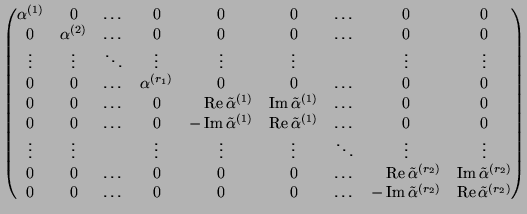 $\displaystyle \begin{pmatrix}
\alpha^{(1)} & 0 & \dots & 0 & 0 & 0 & \dots &0 ...
...de{\alpha}^{(r_2)} & \operatorname{\rm Re}\tilde{\alpha}^{(r_2)}
\end{pmatrix}$