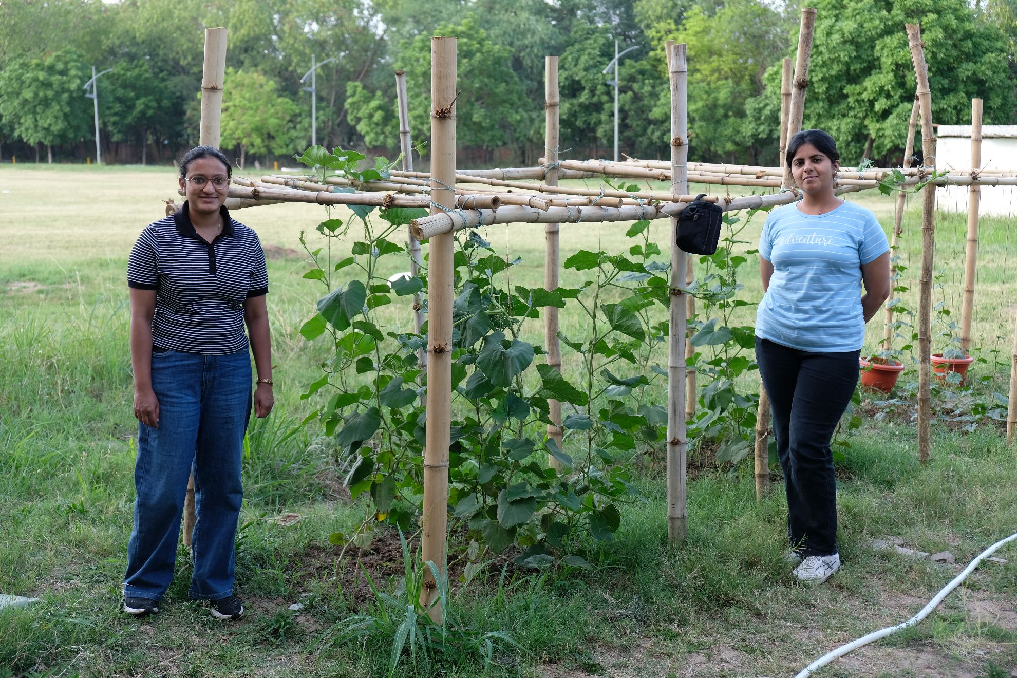 Field work