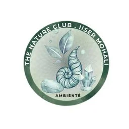 Ambiente Club logo